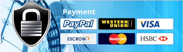 Optfocus FTTH Optical Line Terminal 4 PON 8 portów 4 porty 16 portów MA5608t OLT 8